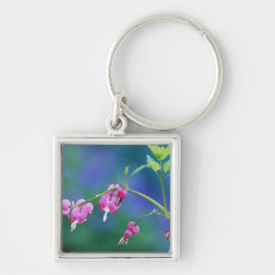Chaveiro Corações sangrando cor-de-rosa no jardim. Crédito