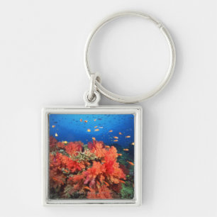 Chaveiro Coral e peixes
