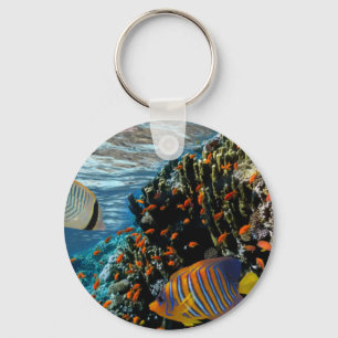 Chaveiro Coral Recife com Coral de Fogo e Peixes Exóticos
