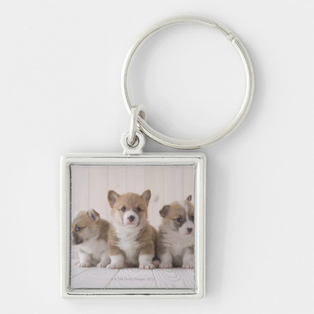 Chaveiro Corgi de três Galês (Frente)