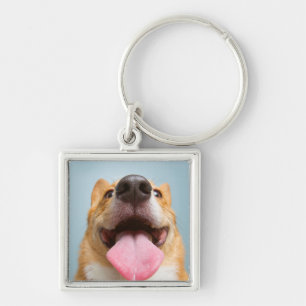 Chaveiro Corgi muito feliz das imagens de Getty