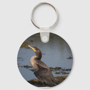 Chaveiro Cormorão de peito duplo