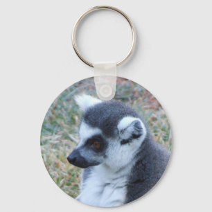 Chaveiro Corrente chave atada anel do Lemur
