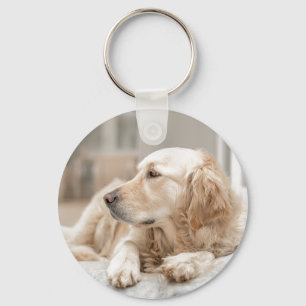 Chaveiro Corrente chave com imagem do golden retriever