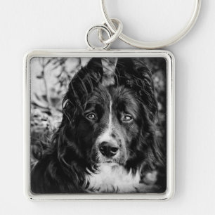 Chaveiro Corrente chave de border collie