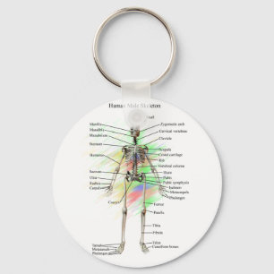 Chaveiro Corrente chave de esqueleto masculina humana