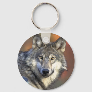 Chaveiro Corrente chave de lobo cinzento