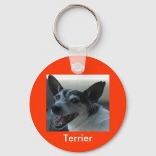 Chaveiro Corrente chave de Terrier de rato