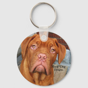 Chaveiro Corrente chave do filhote de cachorro Loving