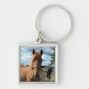 Chaveiro Corrente-chave dos cavalos