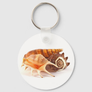 Chaveiro Corrente chave dos Seashells