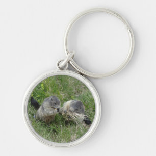Chaveiro Corrente-chave Marmot