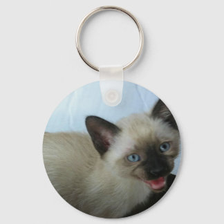 Chaveiro Corrente-chave Siamese kitten