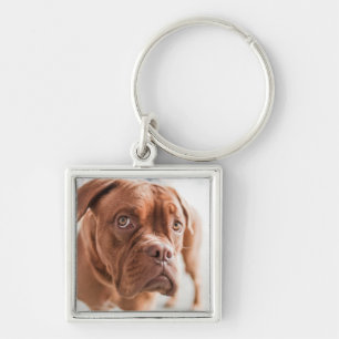 Chaveiro Corrente de chave Cachorro Cortado 11