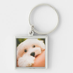 Chaveiro Corrente de chave Cachorro Cortado 9