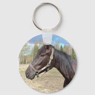 Chaveiro Corrente de chave de cavalos