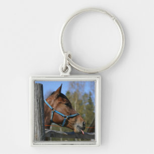 Chaveiro Corrente de chave de cavalos