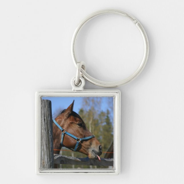Chaveiro Corrente de chave de cavalos (Frente)