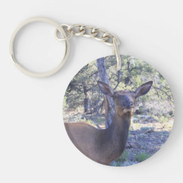 Chaveiro Corrente de Chave de Moose Dupla