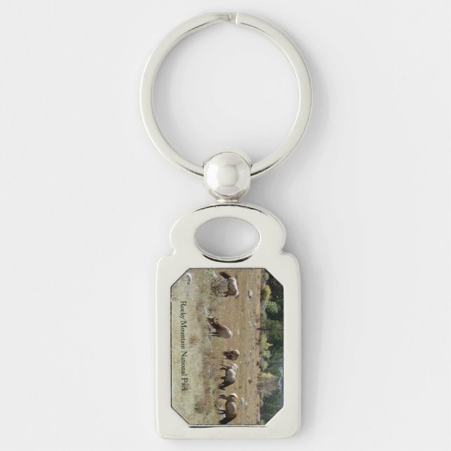 Chaveiro Corrente de chave Elk Metal (Frente)