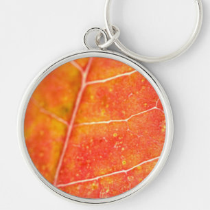 Chaveiro Corrente de Chave Folha do Mapeamento Laranja