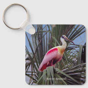 Chaveiro Corrente de chave metálica do Spoonbill