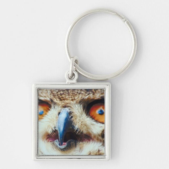 Chaveiro Coruja Eyed laranja (Frente)