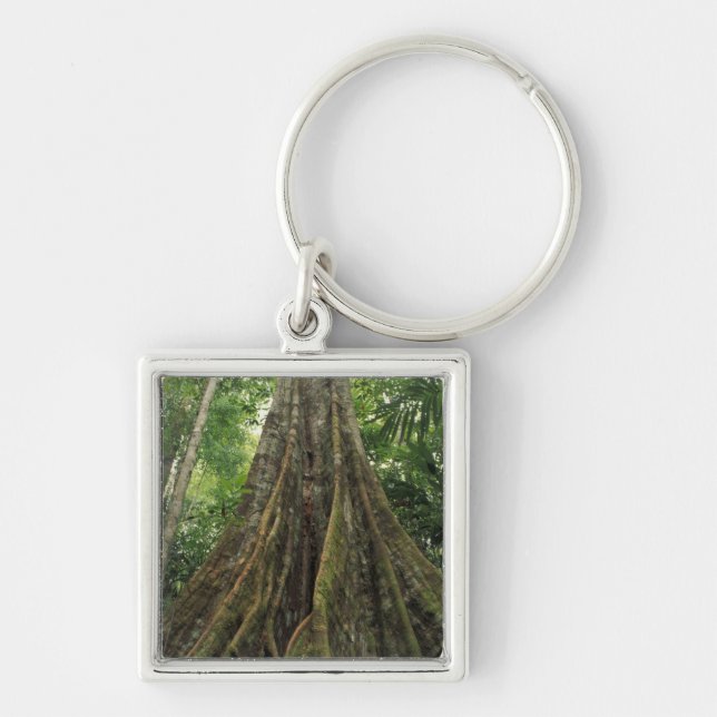 Chaveiro Costa Rica, Parque Nacional Corcovado, Suporte (Frente)