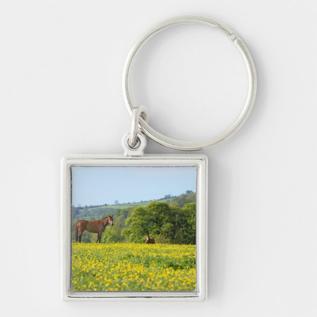 Chaveiro Cotswolds, Reino Unido (Frente)