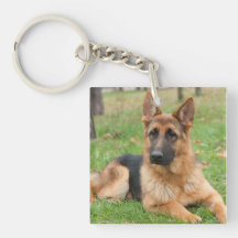 Crie Sua Própria Foto Personalizada de Animal de E