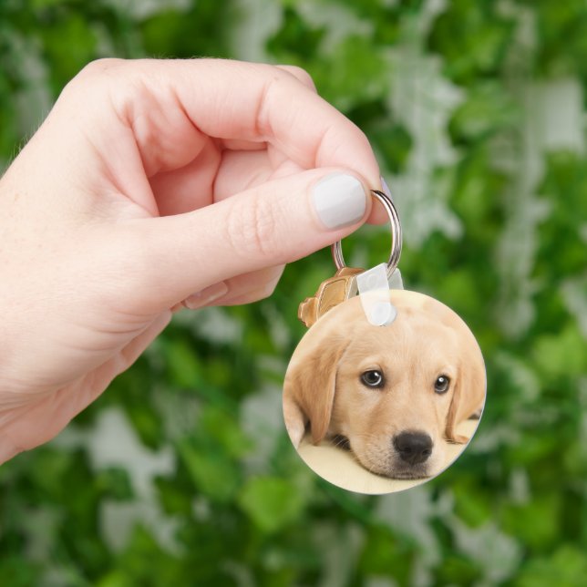 Chaveiro Crie Sua Própria Foto Personalizada de Animal de E (Mão)