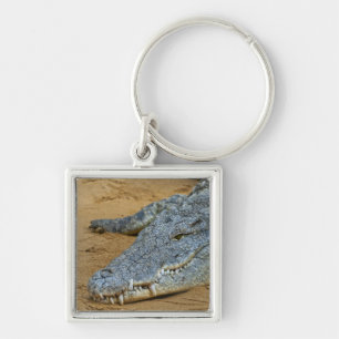 Chaveiro Crocodilo