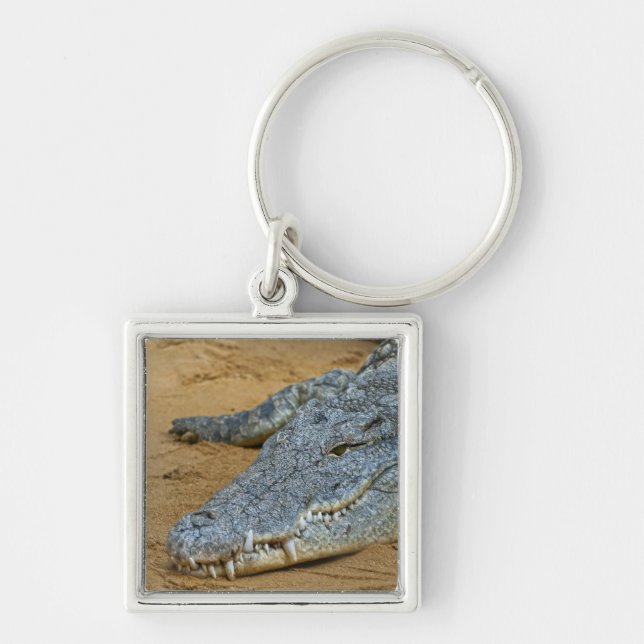 Chaveiro Crocodilo (Frente)