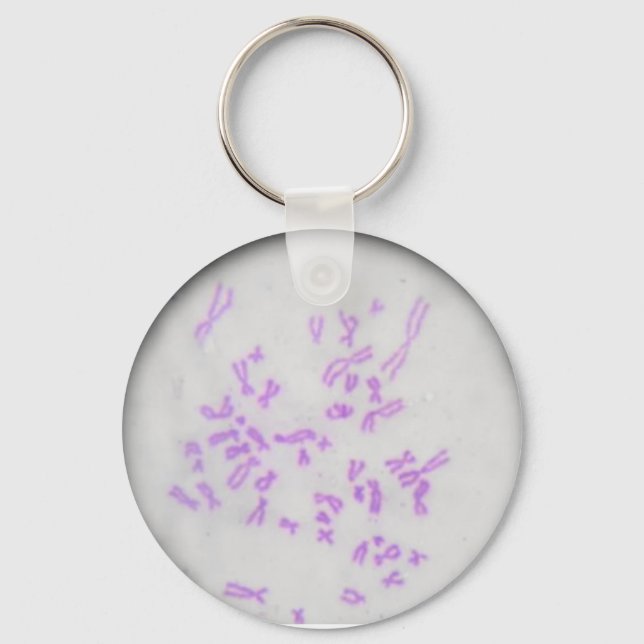 Chaveiro Cromossomos (Frente)