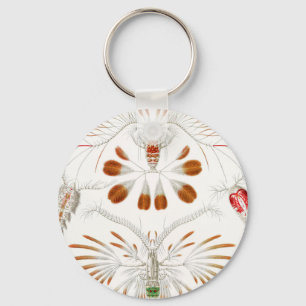 Chaveiro Crustáceos da Vida Marinha, Copepoda por Ernst Hae
