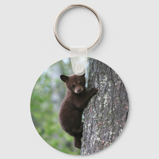 Chaveiro Cubo Urso Subindo em Árvore (Frente)