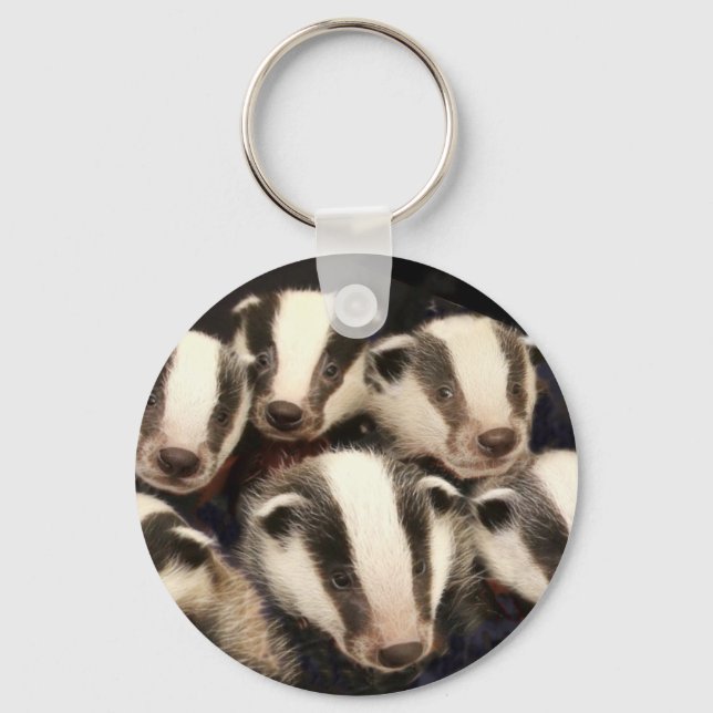 Chaveiro Cubos de Badger Cubo (Frente)