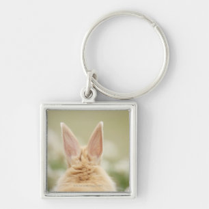 Chaveiro Cuniculus 2 do Oryctolagus