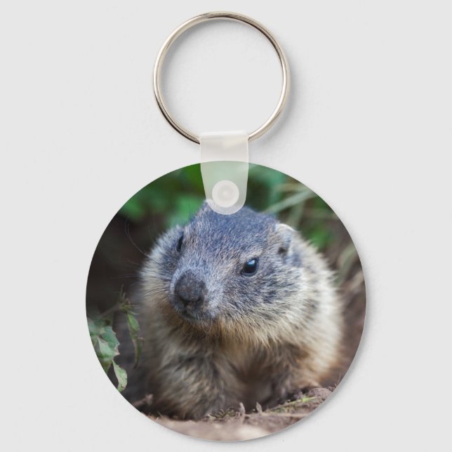 Chaveiro Curioso Baby Marmot Keyring (Frente)