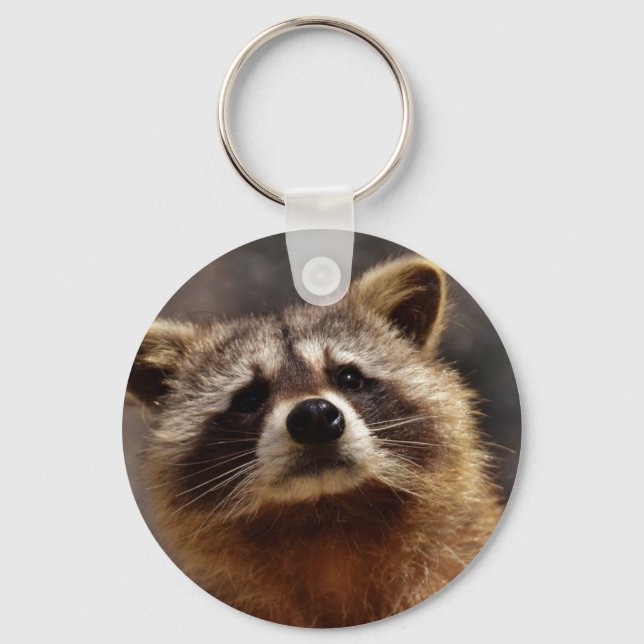 Chaveiro Curioso Raccoon (Frente)