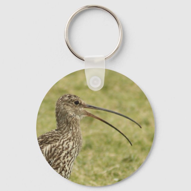 Chaveiro Curlew (Frente)
