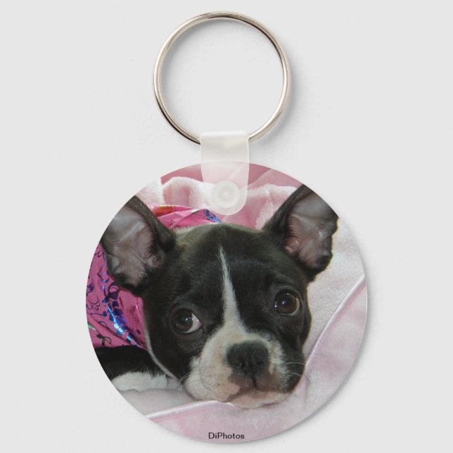 Chaveiro Custa Boston Terrier Puppy (Frente)