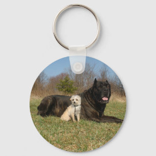 Chaveiro Cute Dog Couple