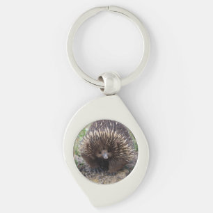 Chaveiro Cute Echidna, da Austrália