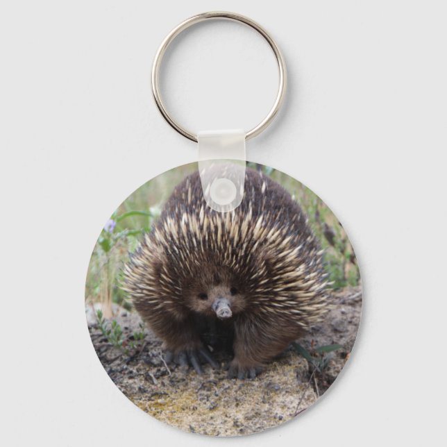 Chaveiro Cute Echidna, da Austrália (Frente)
