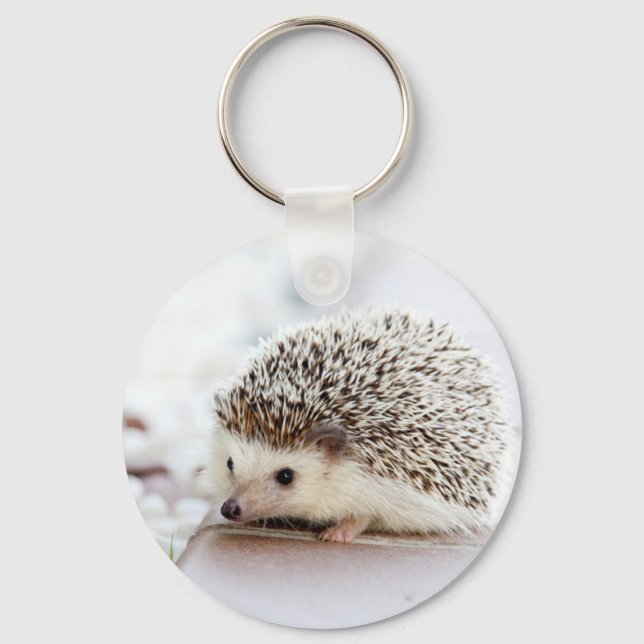 Chaveiro Cute Hedgehog (Frente)