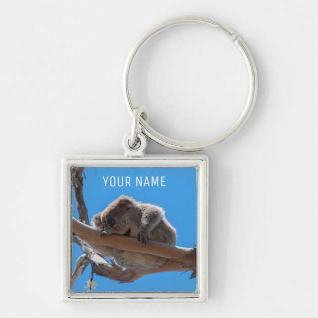 Chaveiro Cute Koala dormindo em uma árvore Austrália (Frente)
