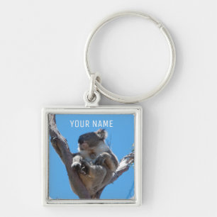 Chaveiro Cute Koala dormindo em uma árvore Austrália