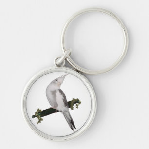 Chaveiro Cute Lutino Cockatiel Bird Ivy Perch Animal