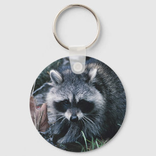 Chaveiro Cute Raccoon